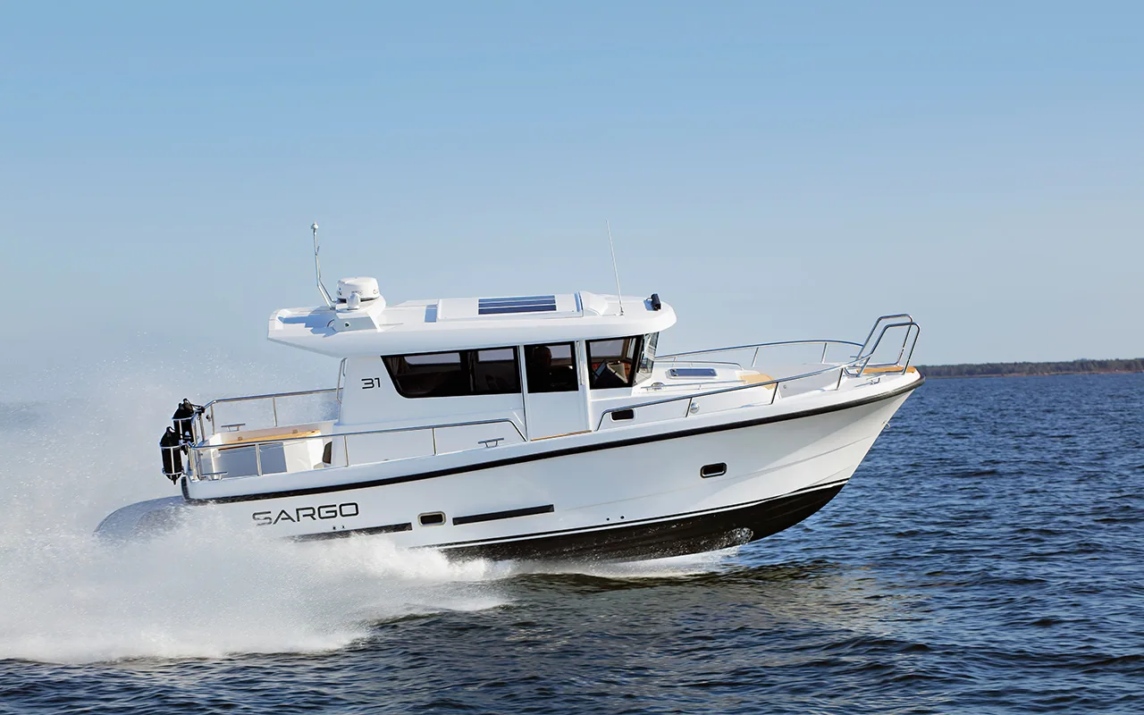 Sargo 31