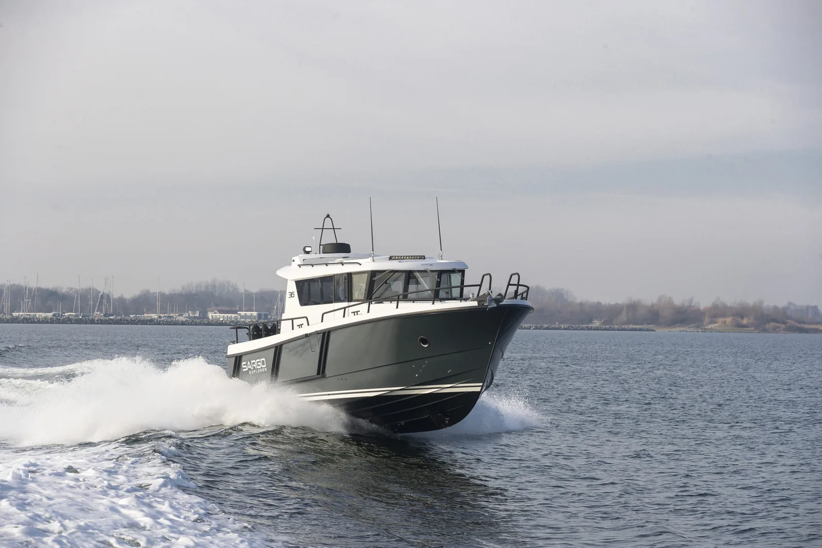 Sargo 36